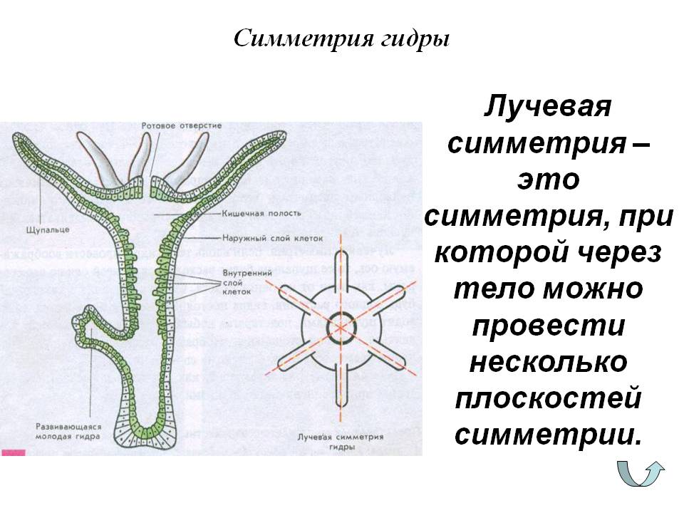 Кракен ссылка kr2link co