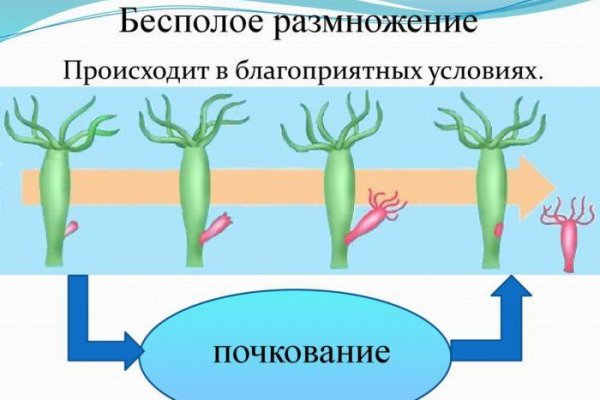Кракен 15at