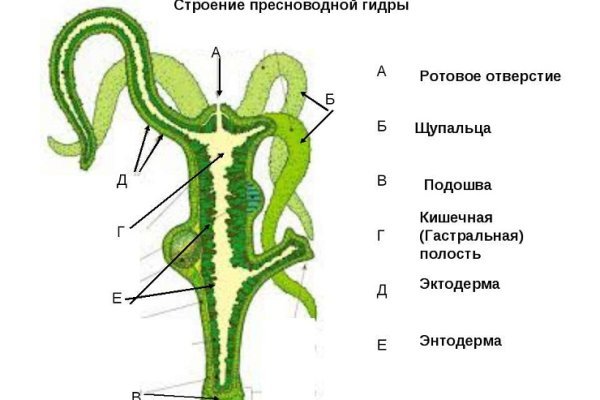 Kraken фейк сайт