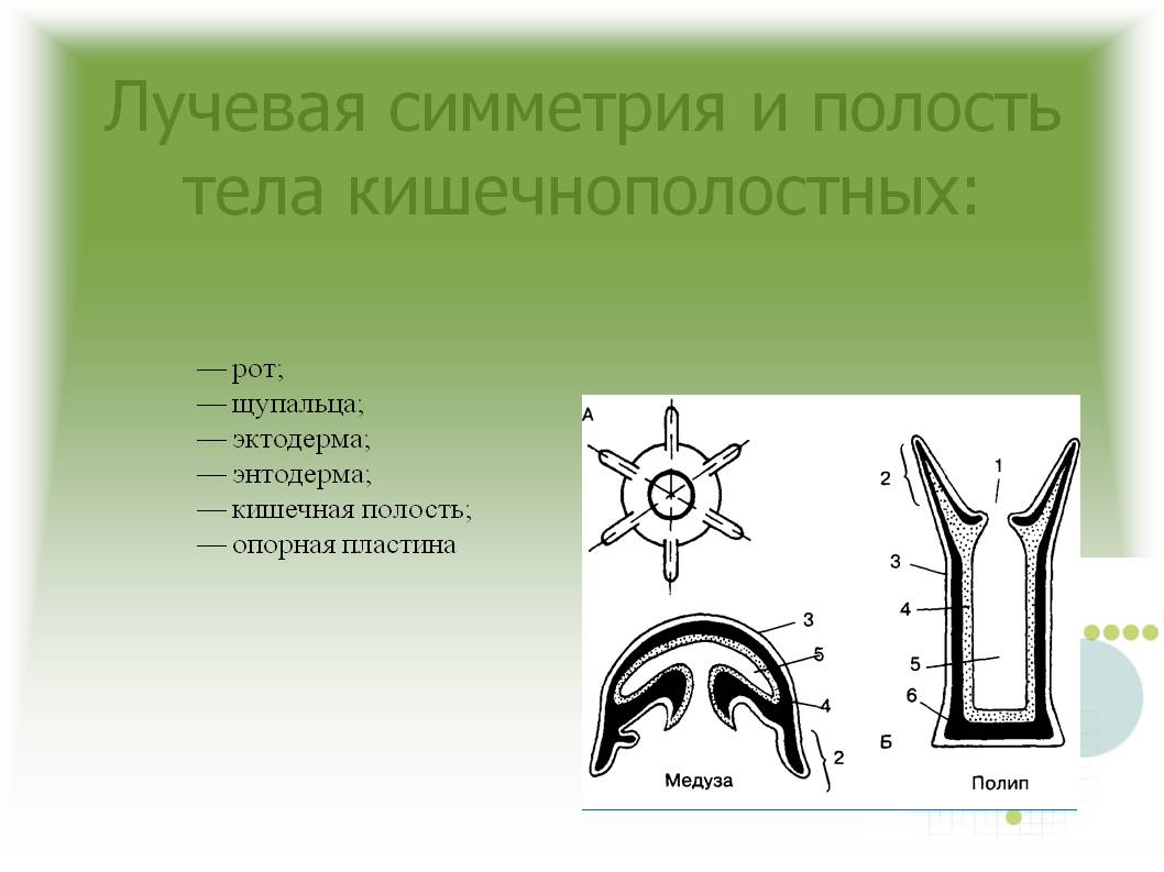 Кракен тор kraken014 com