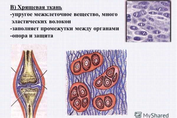 Кракен дарк шоп