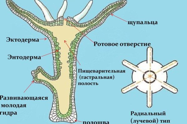 Сайт kraken тор